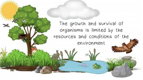ecological pressure