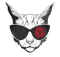 gato-2